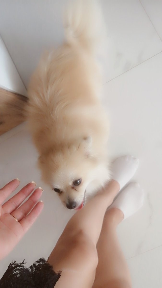 Kayseribyn's tweet photo. 🥰🥰🥰🥰🥰🥰😂 https://t.co/BEV1cKhwvF