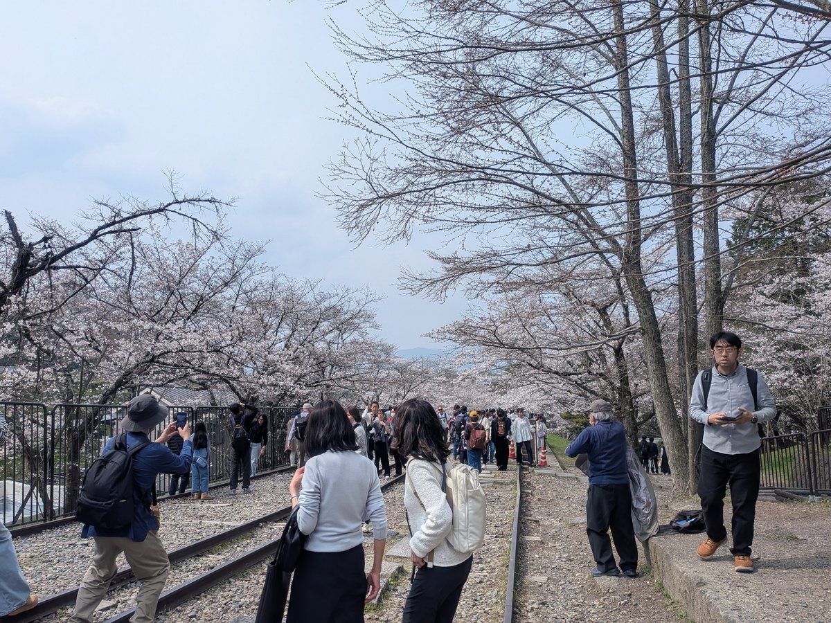 ちゃんみ tweet media