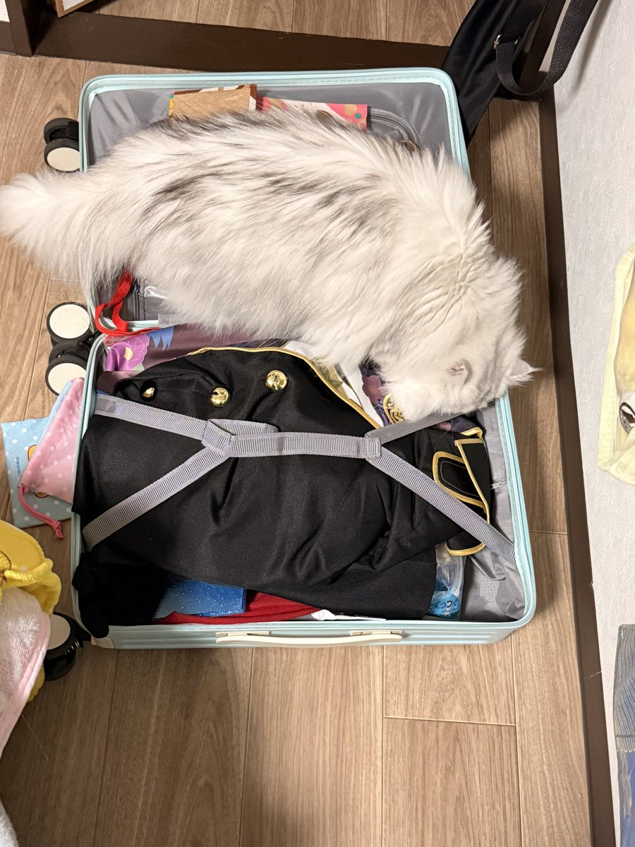 無事帰還∠(　˙-˙ )／ちょっと主www