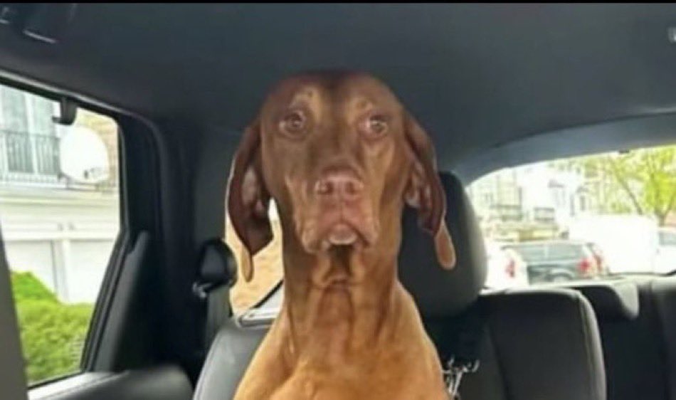 Walker✩ tweet media