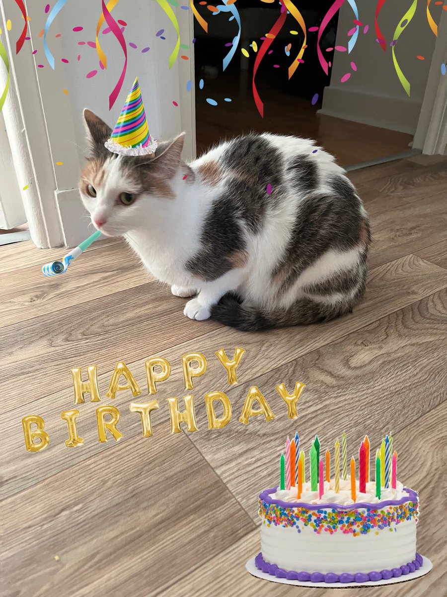 toupie bébé tweet media