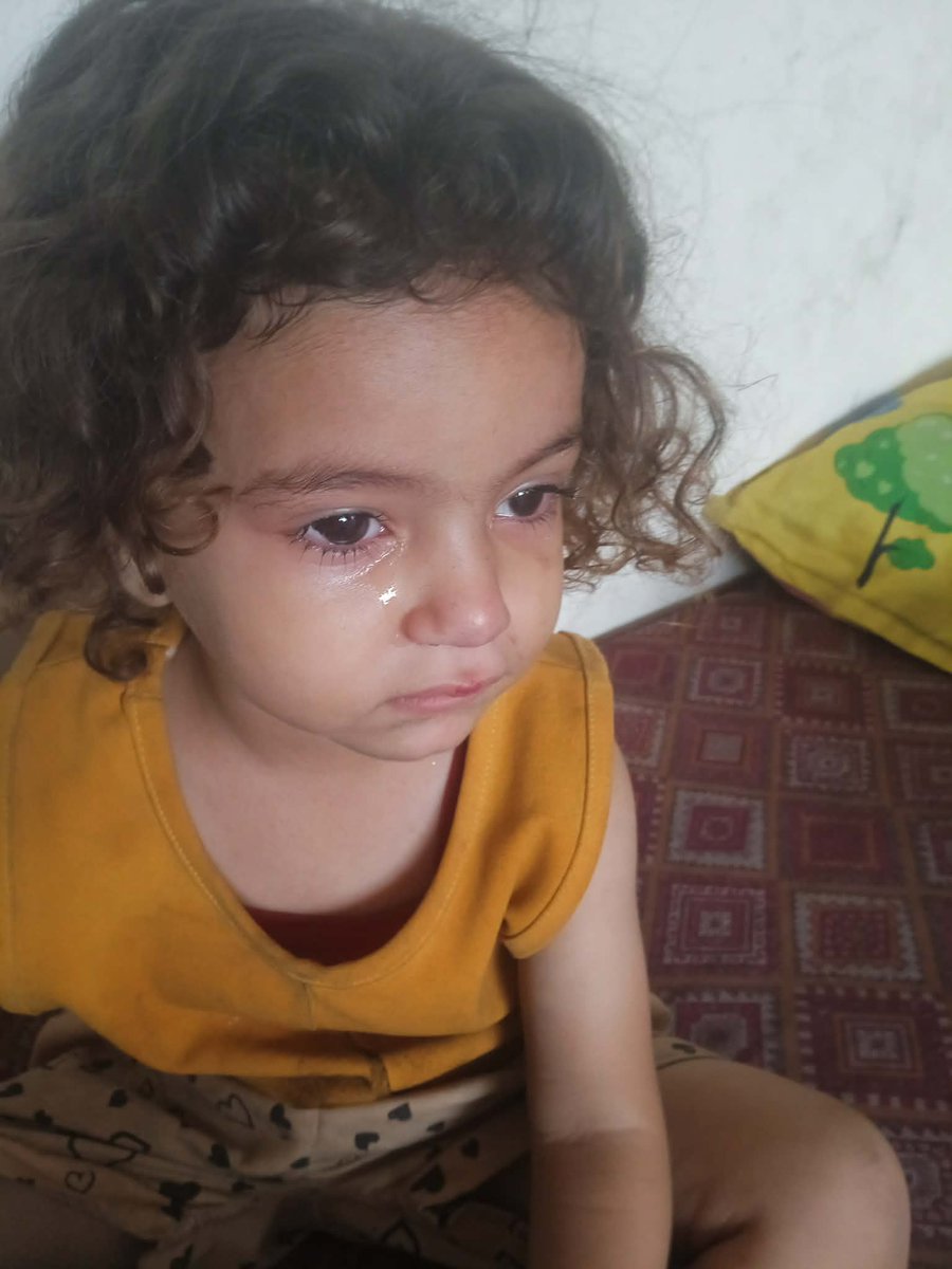 Dalula in Gaza tweet media