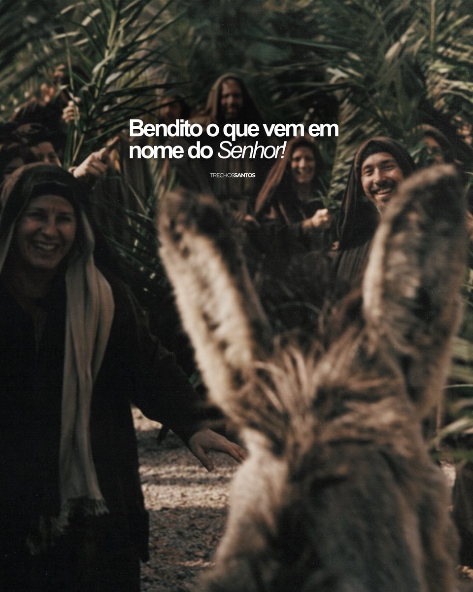 Trechos Santos tweet media