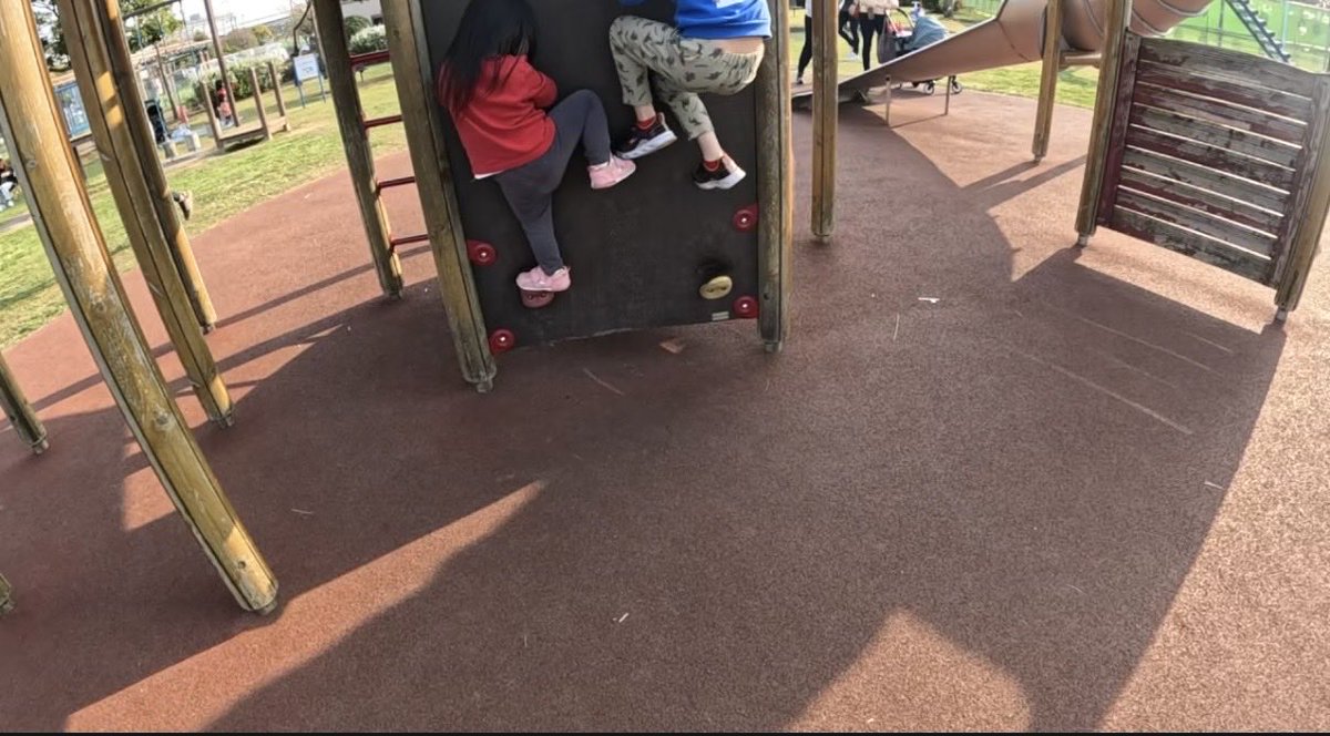 橋本琴絵 tweet media