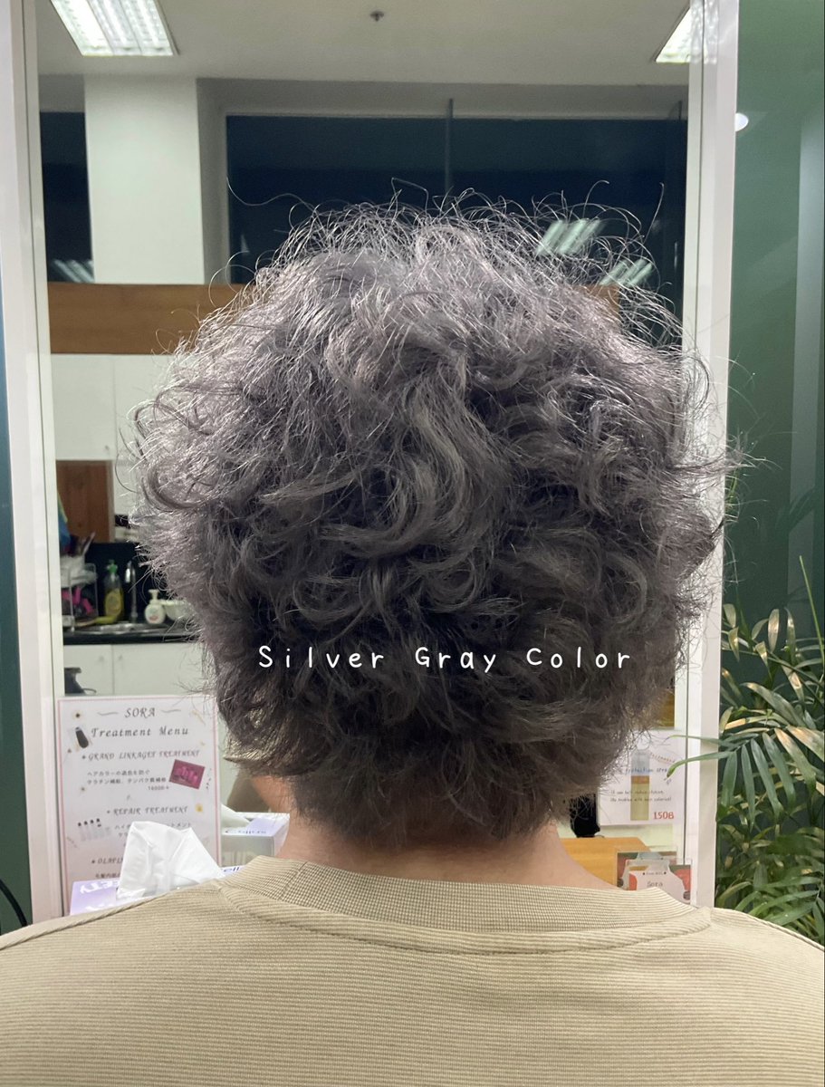 HairRoom_Sora's tweet photo. 🐺Silver Gray Color🐺

シルバーグレーカラー
透明感のあるスモーキーカラー✨

Bleach  + on color + Scalp Support oil + Soda + Olaplex Treatment 

…………………………
ร้าน Hair Room Sora 
☎️ 02-169-1622
💖 Line : @575zzlqc (มี @)

#Hairroomsora #Hairroomsorabangkok https://t.co/hsY47rF2v5