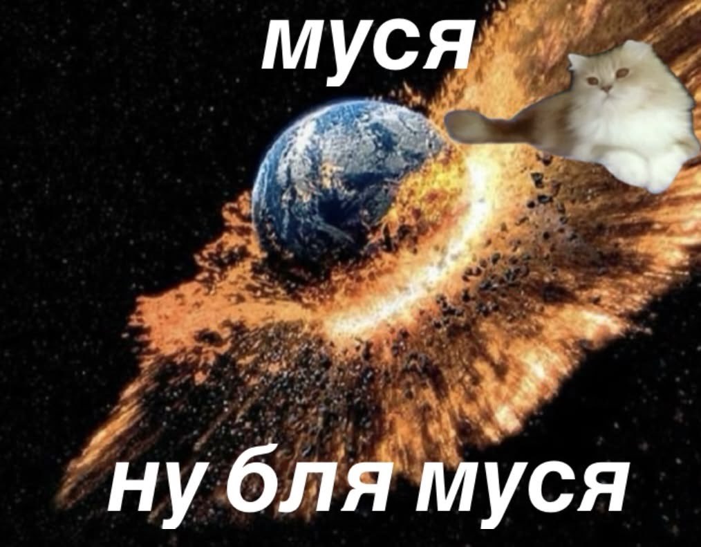 moonstruckofvoices⁷ tweet media