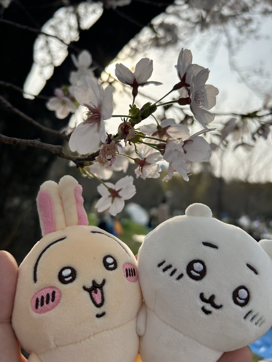 じぇいさん tweet media