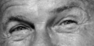 Bufo Calvin tweet media