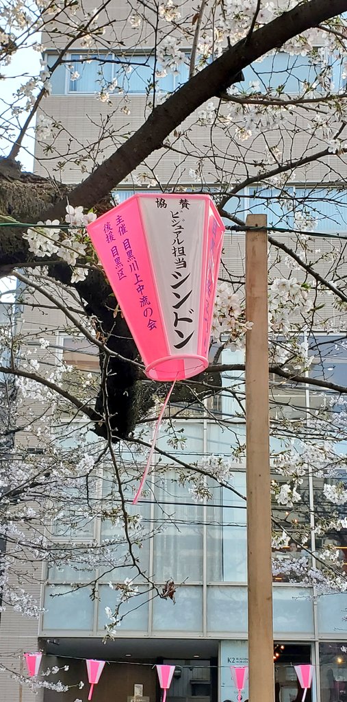 きみぞのT tweet media