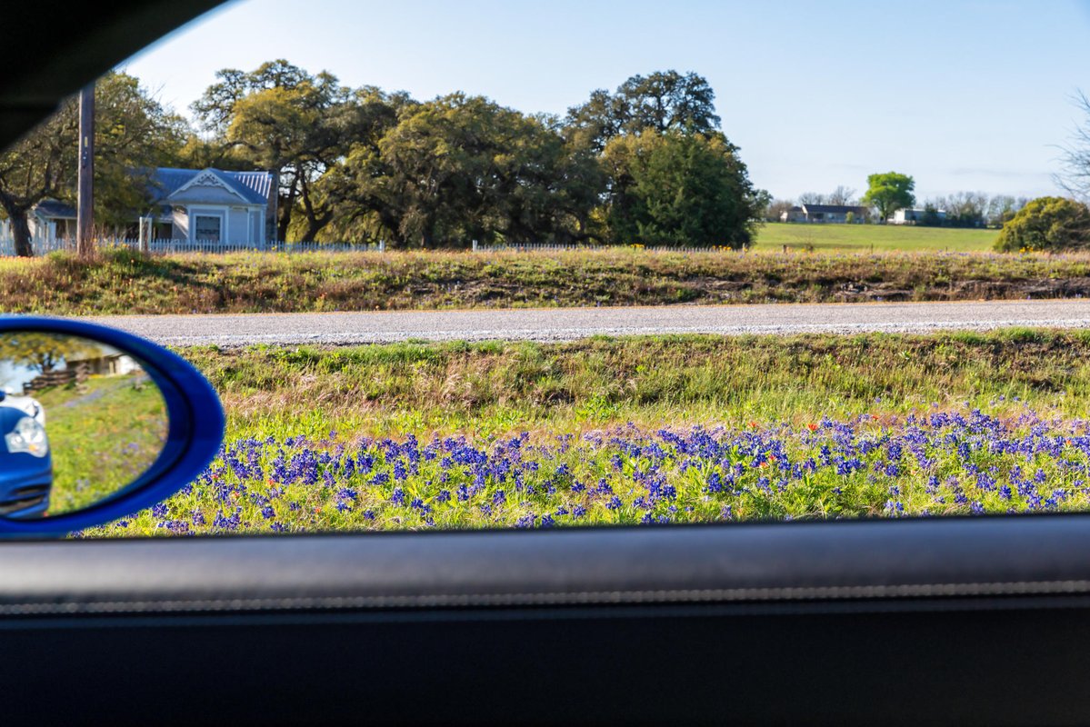 Zerin Dube tweet media