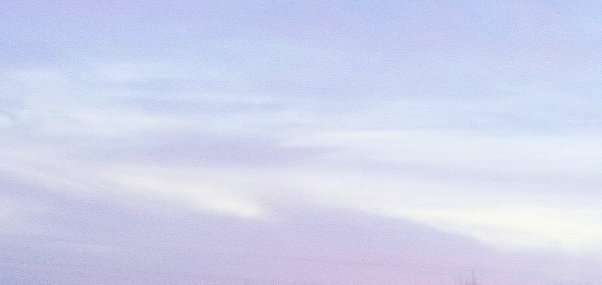 Daniel carl andersen tweet media