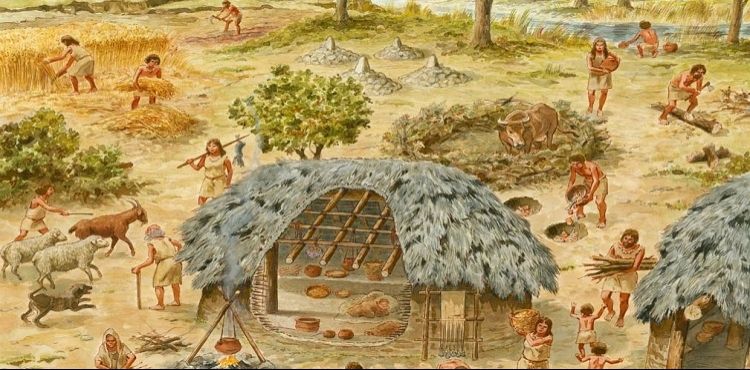 Kutsi Akıllı tweet media