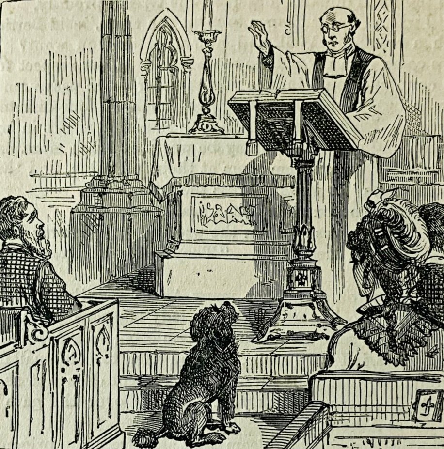 Marcel·lí Virgili ☂️ tweet media