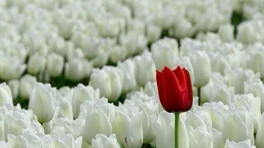 tasya 乐!🎵⭐️ tweet media