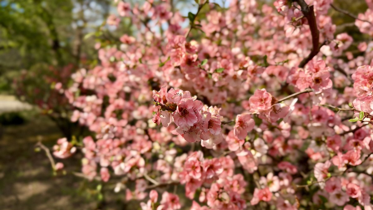 もとき tweet media