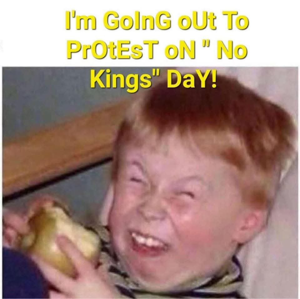 Laura Stevens tweet media