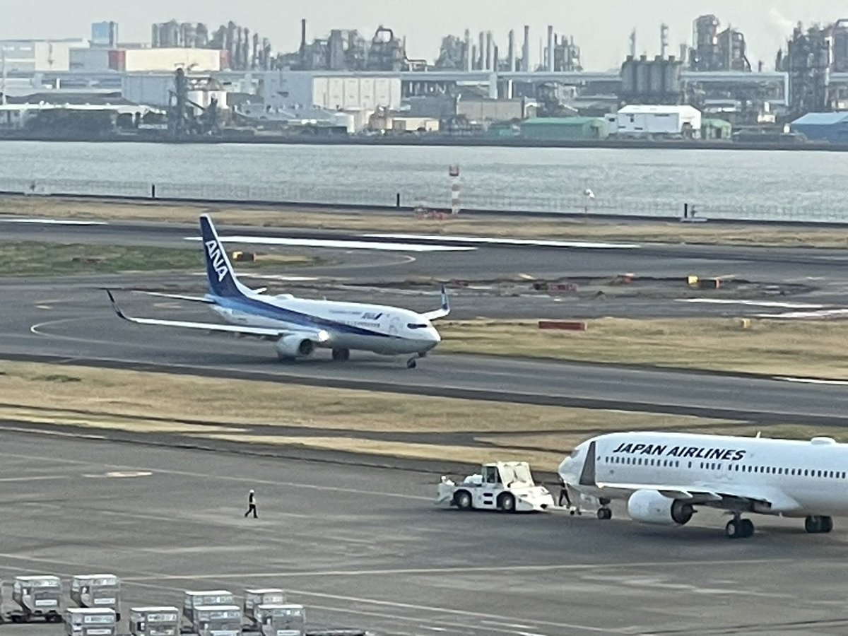 なしこ✈︎ tweet media