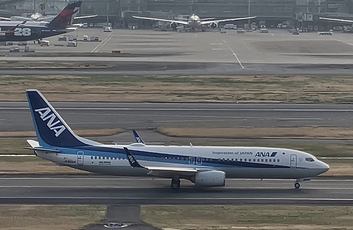 なしこ✈︎ tweet media