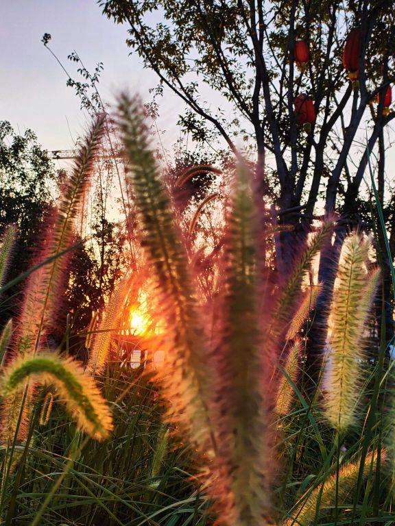 Kannan V tweet media