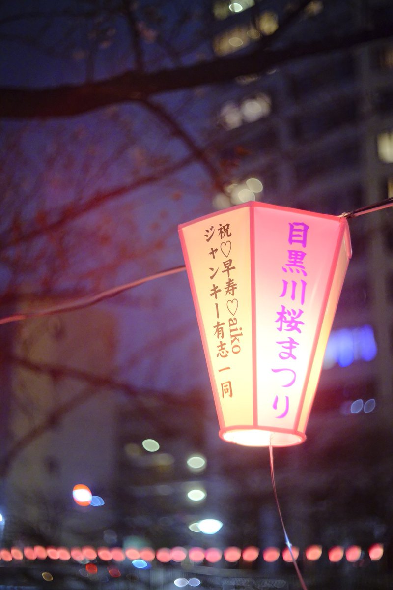 ビルダー安達 tweet media