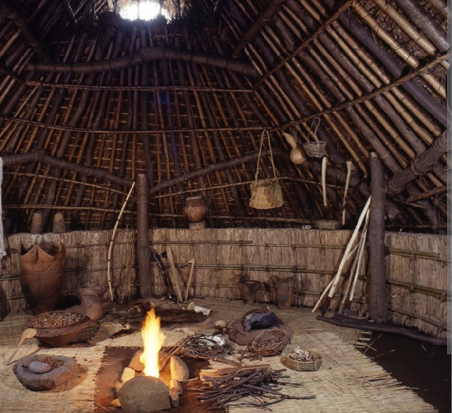 悪飲料🐼パンダ🐼@軽貨物🪼 tweet media