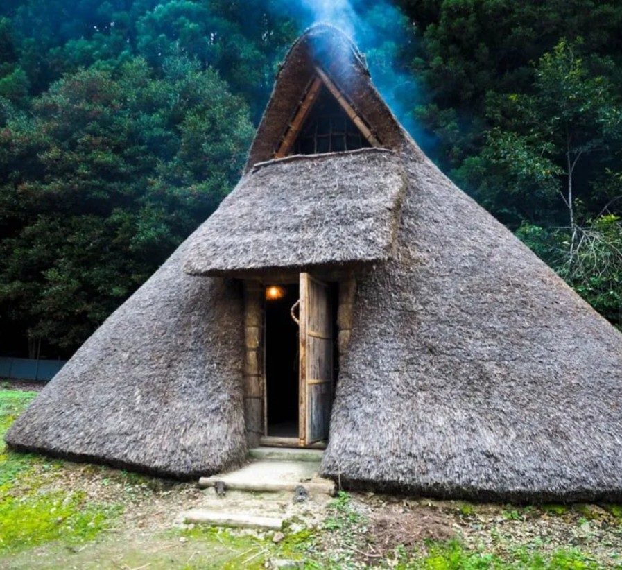 悪飲料🐼パンダ🐼@軽貨物🪼 tweet media