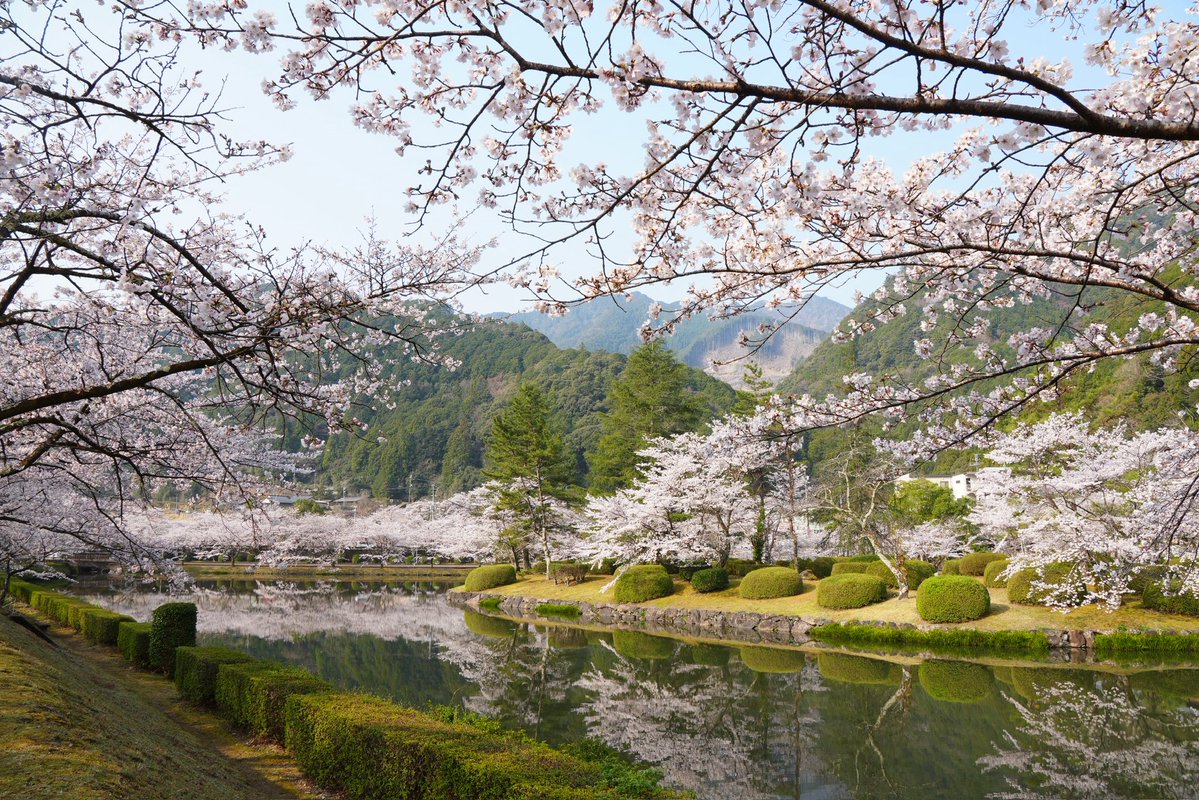 ぱんだちゃん tweet media