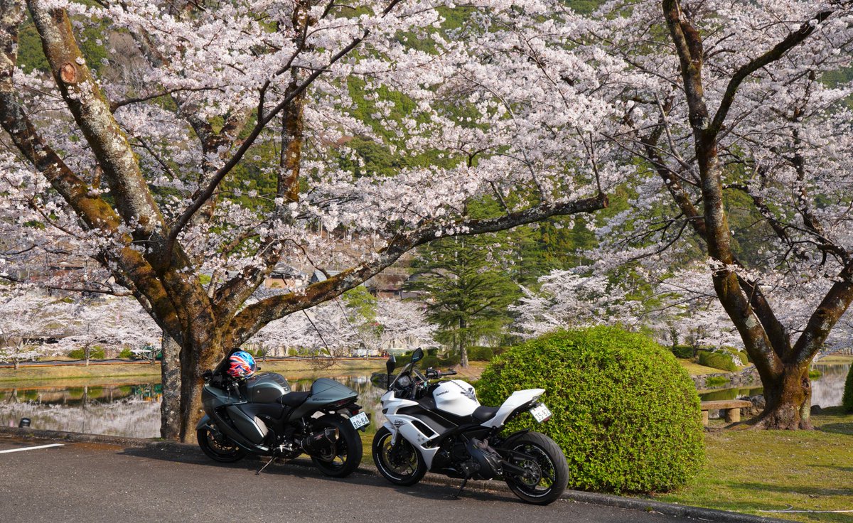 ぱんだちゃん tweet media