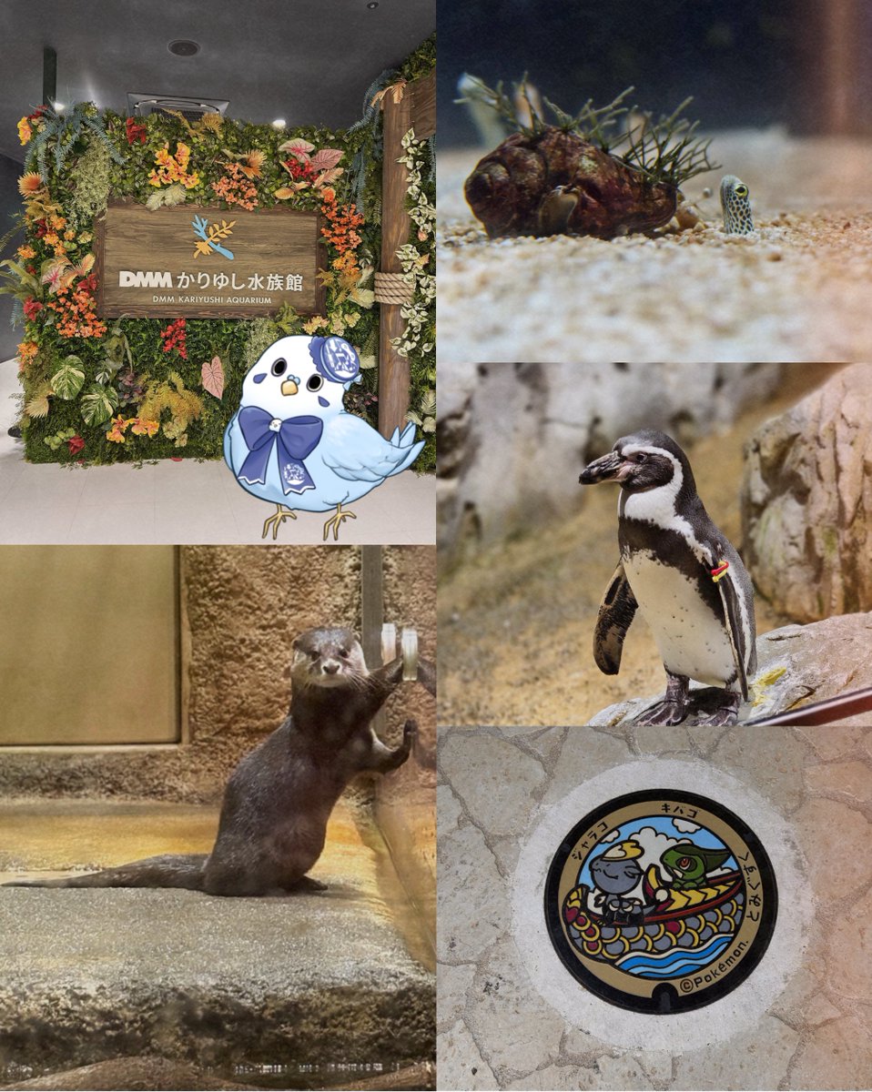 古德文創 tweet media