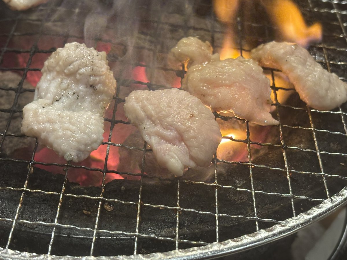 mr.tako🐙𓈒 𓂂𓏸 tweet media