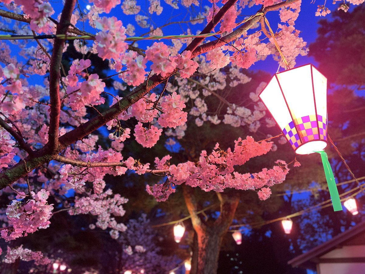 るぴ@ギルド香川高松店香川コンカフェ tweet media