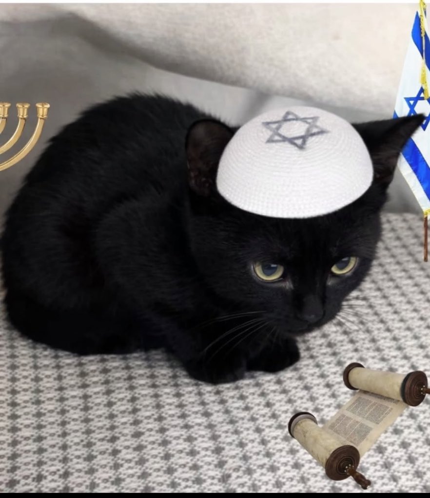 sipra(maybe) tweet media