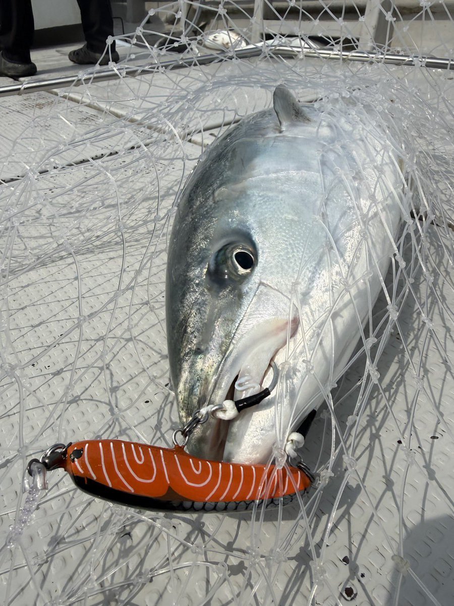 hiroto.0802🧎🏻 tweet media