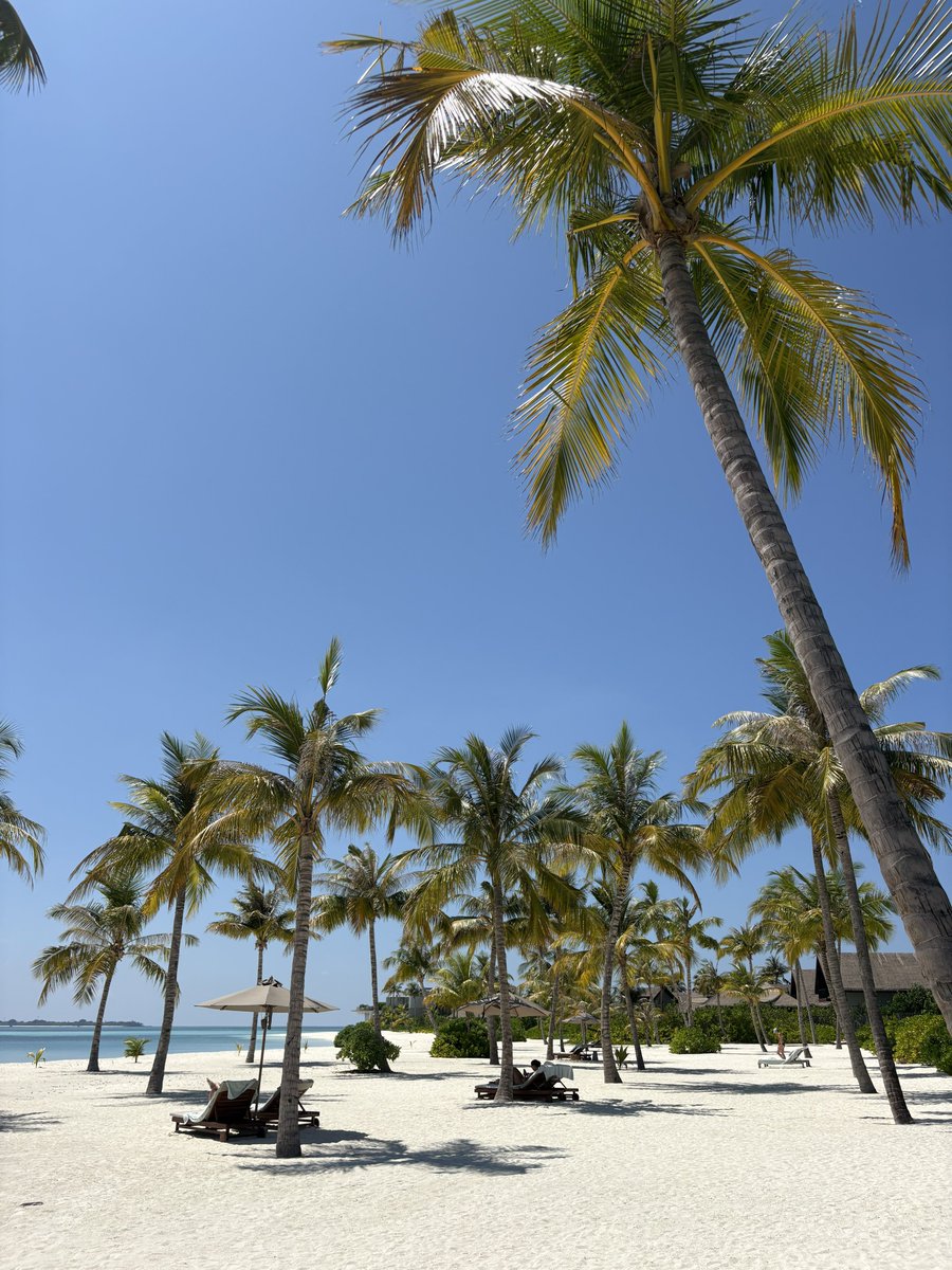 Céline Hart | London tweet media