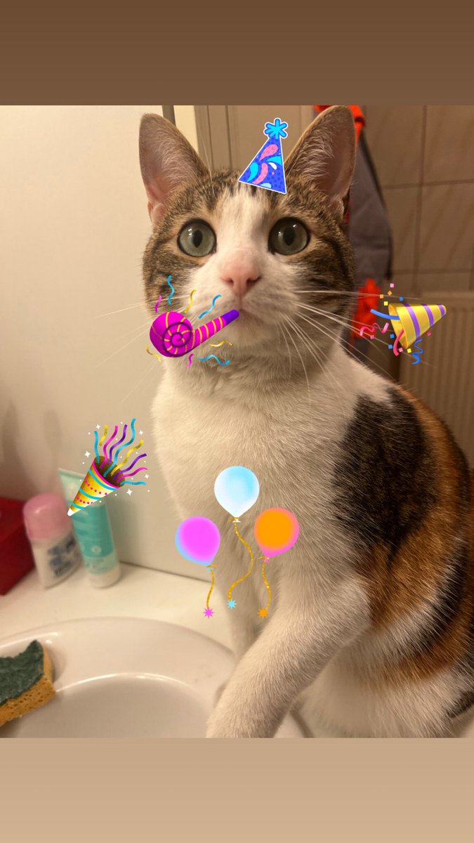 cutie paimon 🎀 tweet media