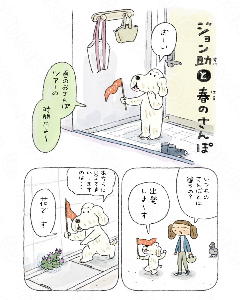 日隈みさき🐶『んも〜な日常 ジョン助と』5/8発売 tweet media