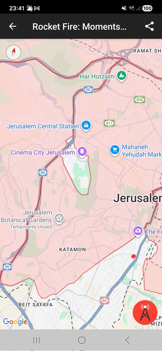 Shira Bubis tweet media