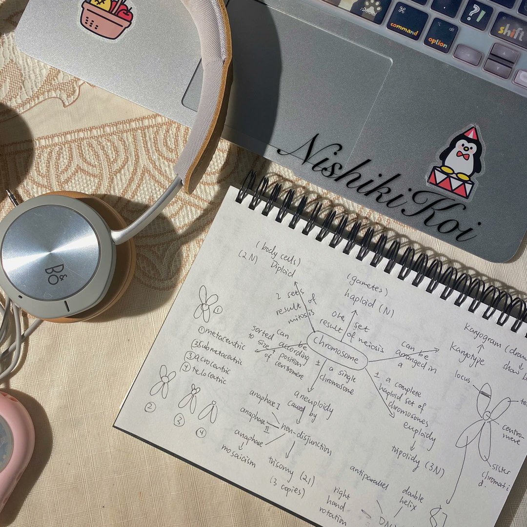 Sara Nicholson tweet media