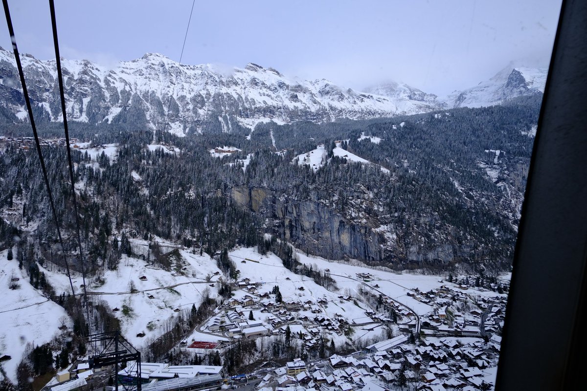 пани кринжулька tweet media