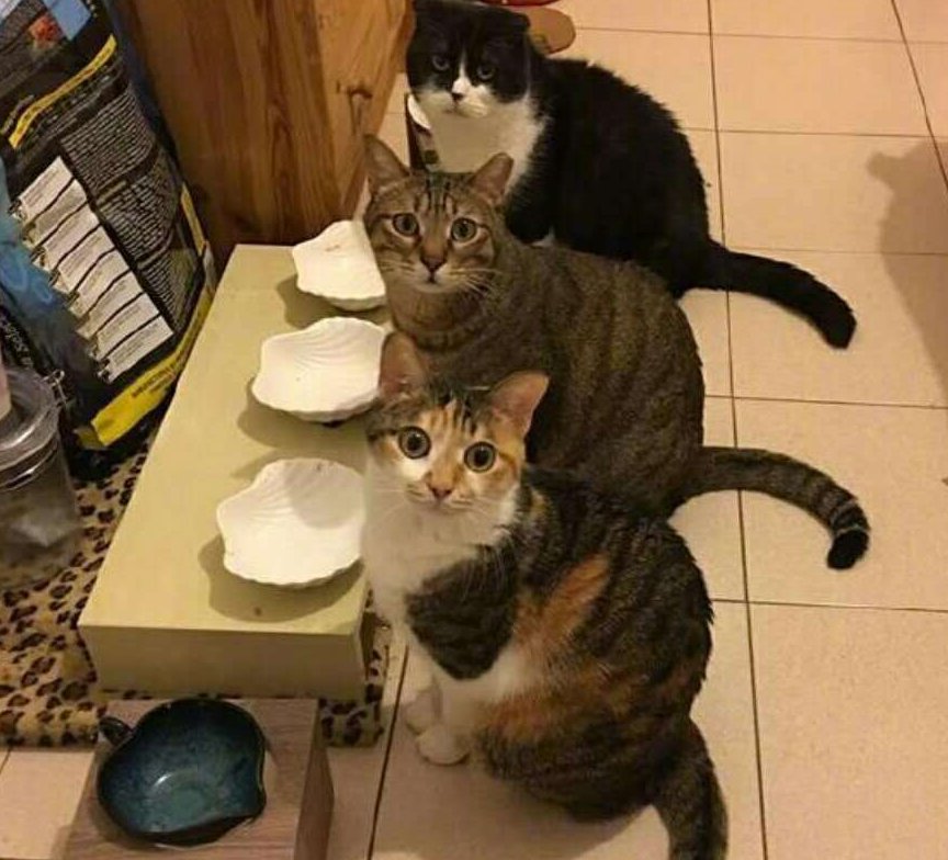 Nguyễn Kim Khôi tweet media