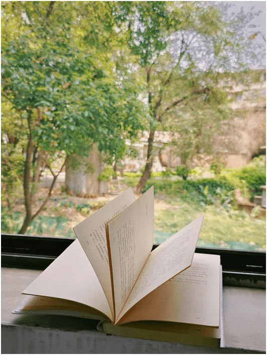 Anthony Antonidis tweet media