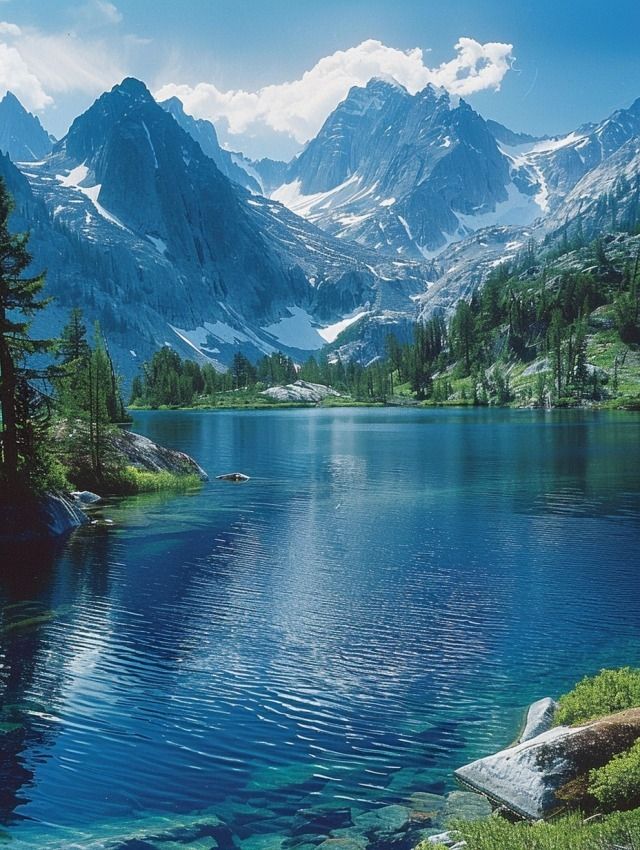 WORLD DECODED tweet media