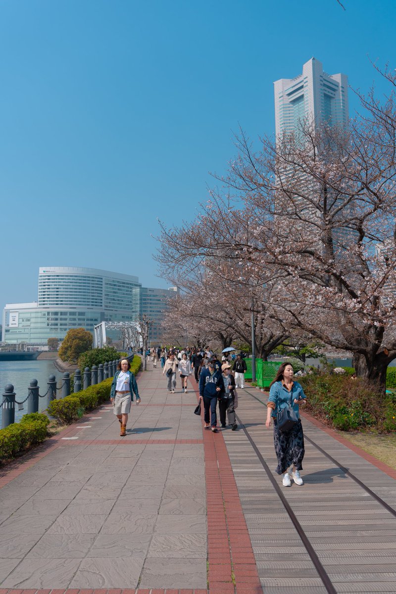 MaximusOP tweet media