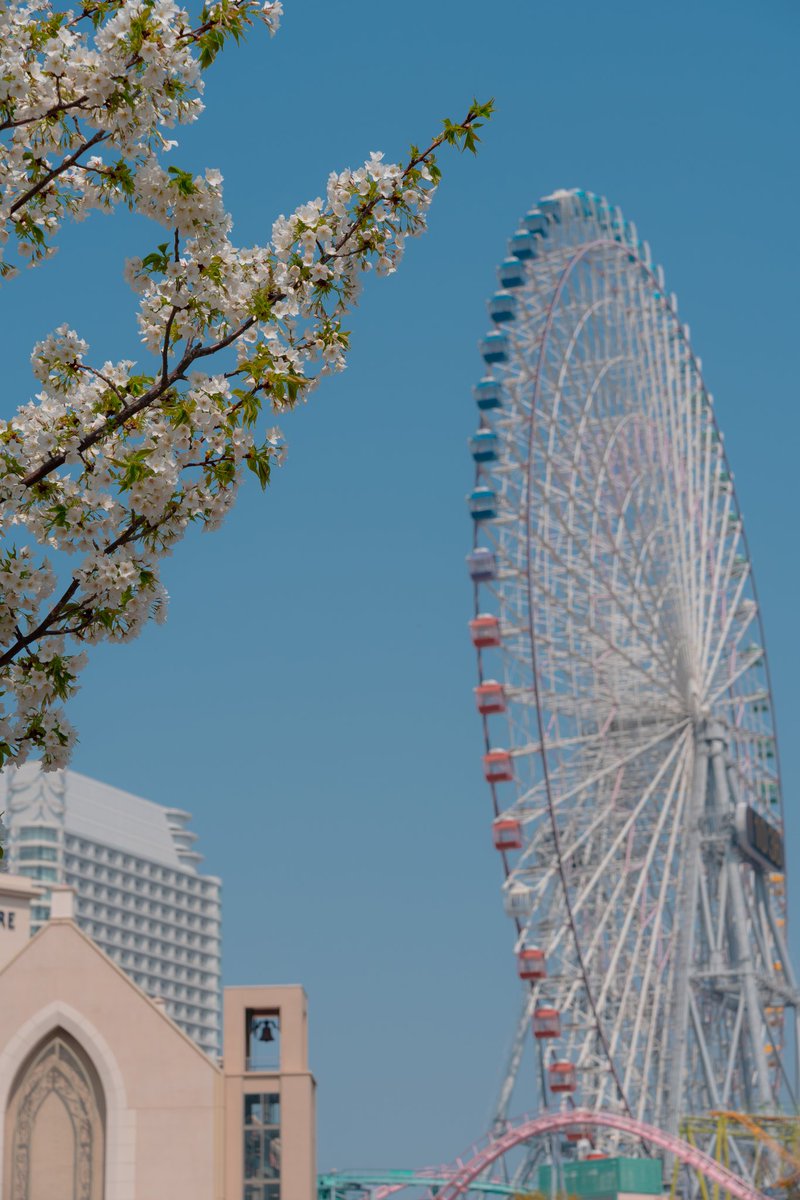 MaximusOP tweet media