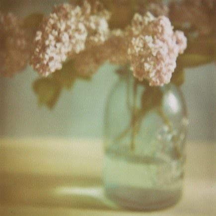 Cik ala t'cha tweet media