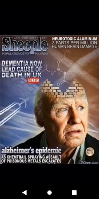 The Boat tweet media