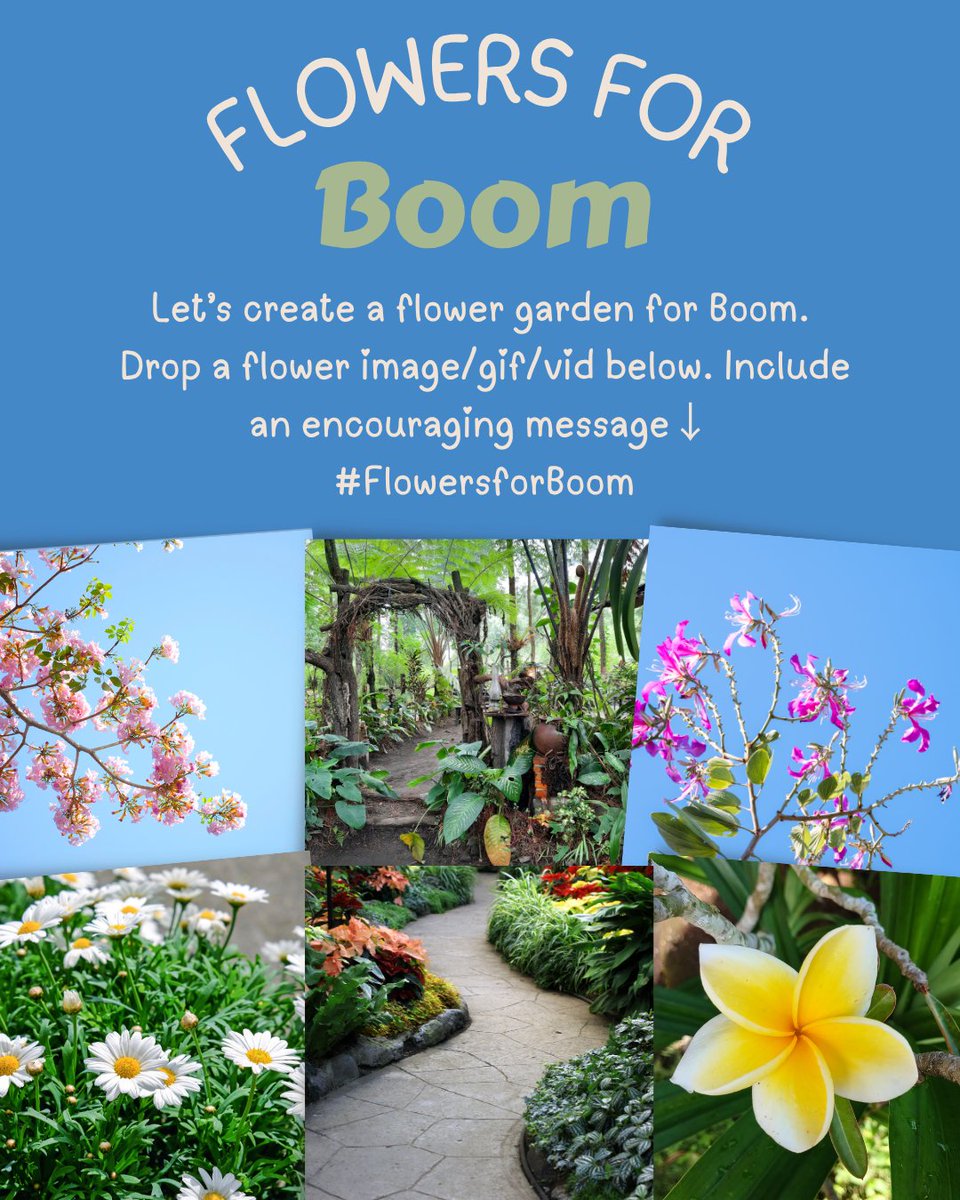 smartboom_fc's tweet photo. 🌺🌻🌹Flower Garden for Boom

Let’s create a flower garden for @bxxm_rvw

Drop a flower image/gif/vid below. Include an encouraging message with the hashtags ↓
#FlowersforBoom
#BXXMRVW

We were inspired by the song, 과정(Process): 
“Though I cannot see it yet, even this very moment— this, too, must be a path leading me toward becoming a flower. It must be the process of my becoming a flower. A process. Just a process.”

Boom, 
Even the hardest days are part of your journey.
We believe in you, and we’ll be here through every step. You are not alone. You are not finished. You will bloom. Always.