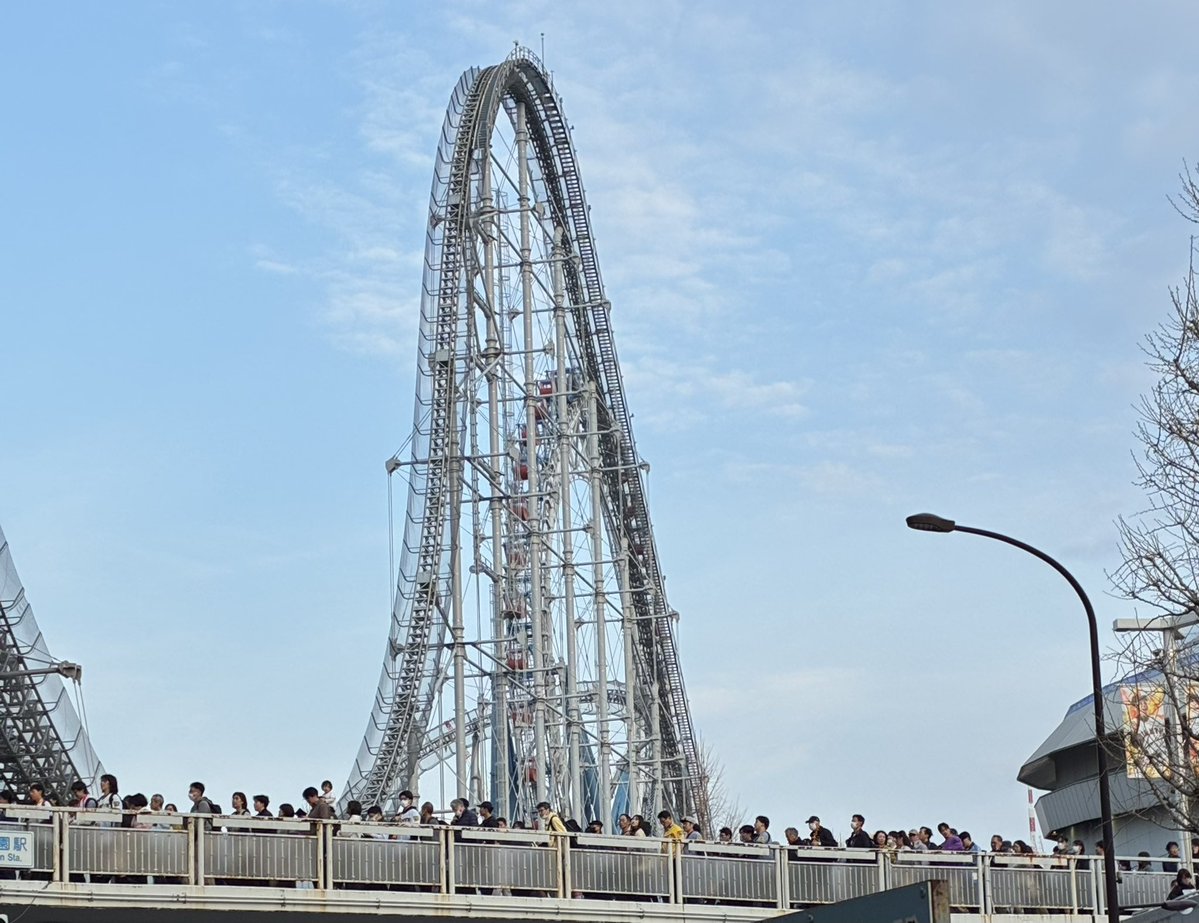 ミモザ★Tokyo tweet media