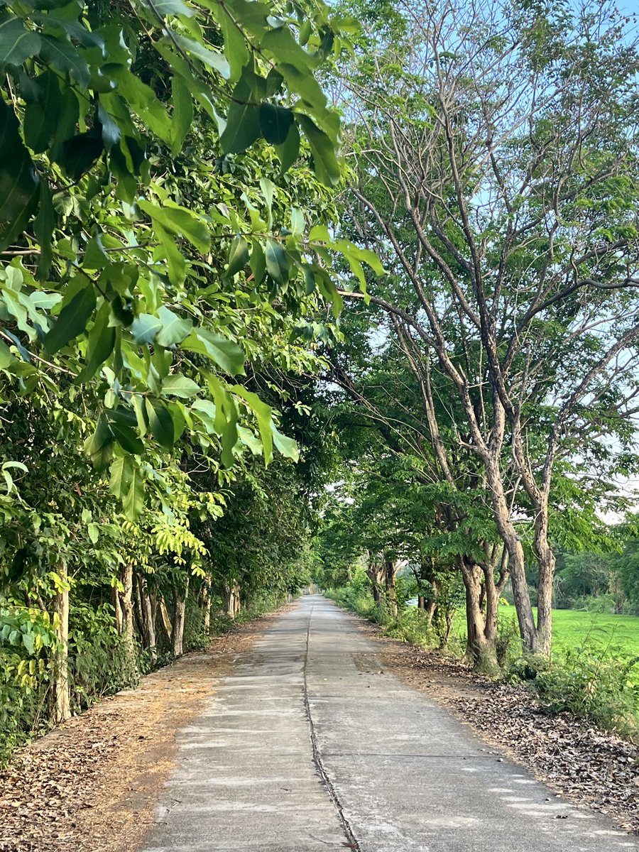 BP•OD♋️ tweet media