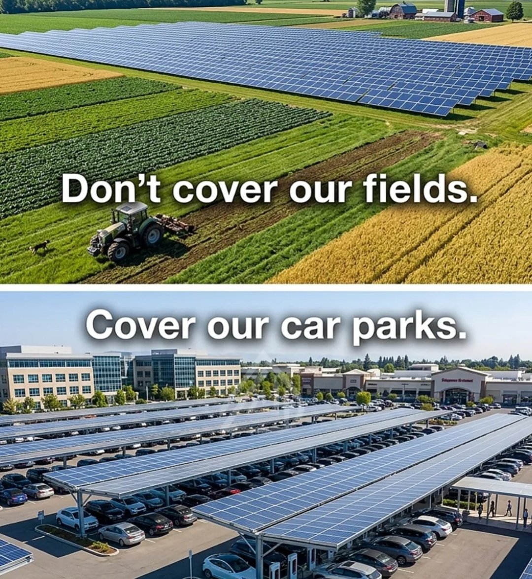 Fun At All X tweet media